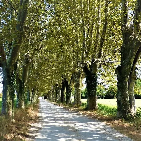 Holiday home Mas Des Cigognes Arles-camargue